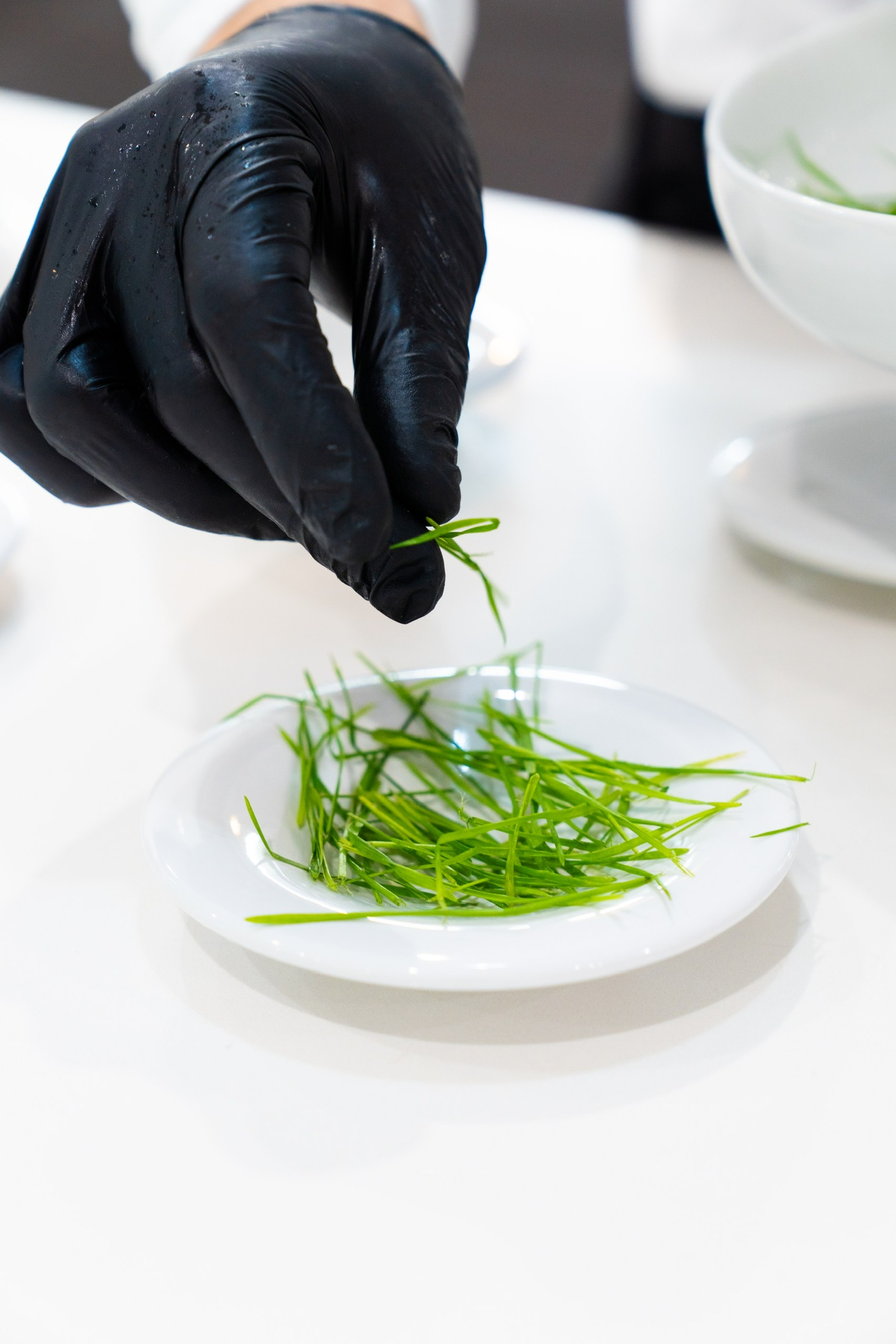 Detail of plating by Chef Yavlen